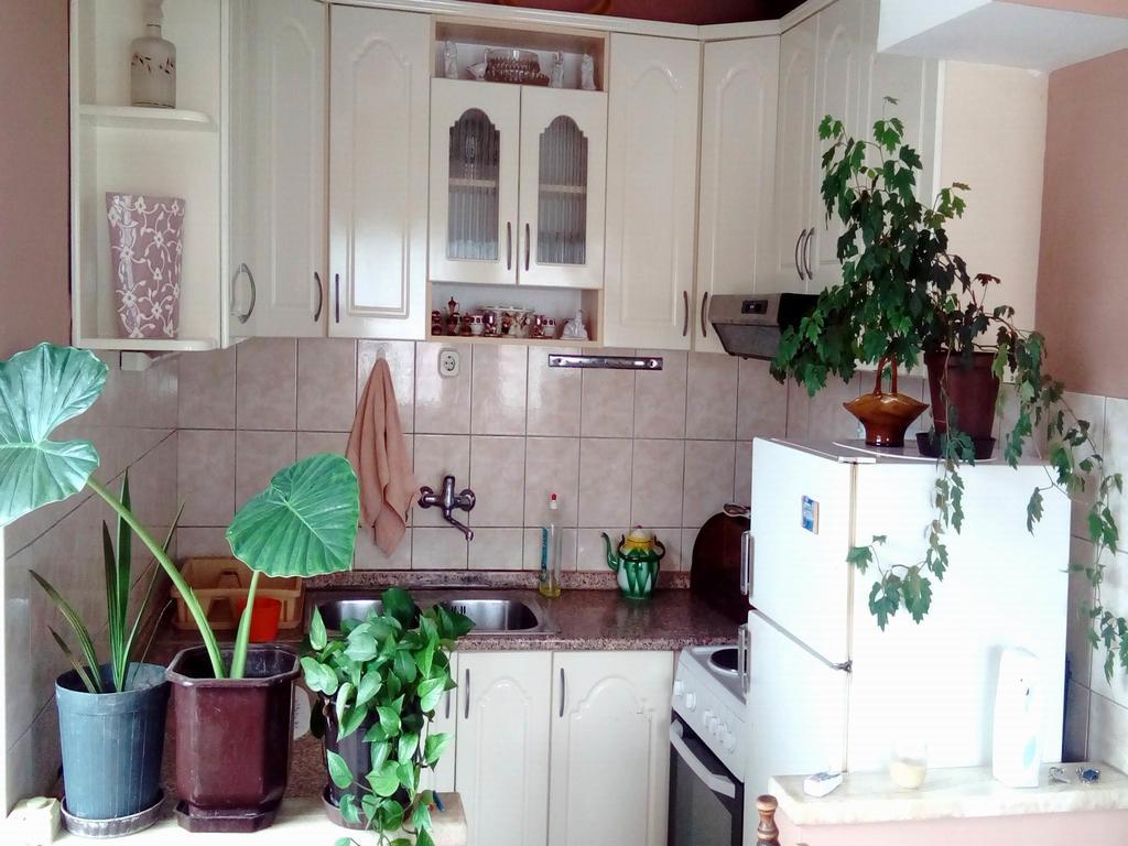 Apartment Luka Ochrid Pokoj fotografie